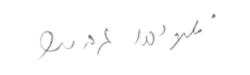 signature d'Yeshayahu Gavish