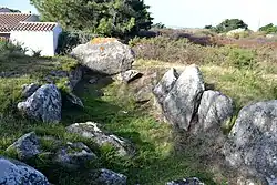 Image illustrative de l’article Allée couverte des Tabernaudes