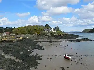 Image illustrative de l’article Ynys Faelog