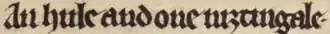 an hule and one niȝtingale