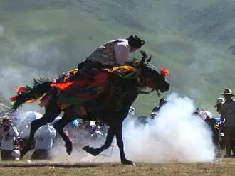 Cavalier et cheval au festival du cheval de Yushu, en juillet 2008