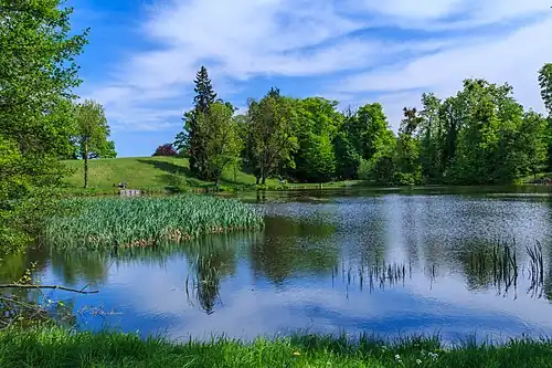 Étang de Heřmanův Městec.