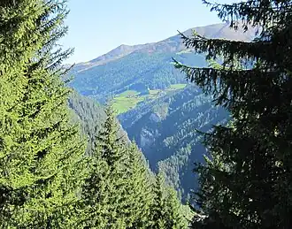 Vue des gorges depuis le hameau de Jenisberg.
