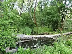 La zone humide  à l'est du lieu-dit Maine Barillaud.