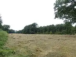 Prairie fauchée au sud du lieu-dit le Genévrier.