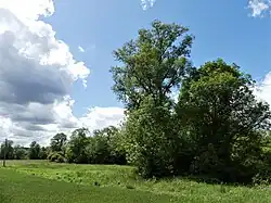 La zone humide à l'ouest du lieu-dit Chez Dumaine, à Bouteilles-Saint-Sébastien.