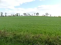 Paysage au niveau du ruisseau de la Viergne, au nord de la route départementale 915, à Chambon-sur-Voueize.