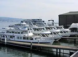 L'hiver venu, les bateaux inutilisés sont garés aux ateliers ZSG de Wollishofen : MS Säntis, Uetliberg, Pfannenstiel, Albis, Limmat et Panta Rhei.
