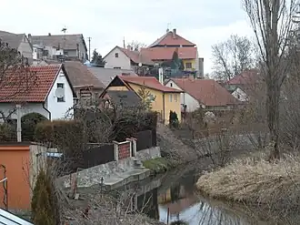 Žabonosy
