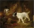 Chiens et chat (1878)