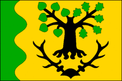 Drapeau de Zádub-Závišín