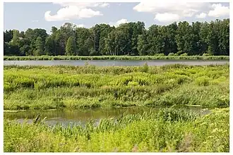 Le caractère visible ou caché de l'horizon fait parler de paysage « ouvert » ou « fermé ».