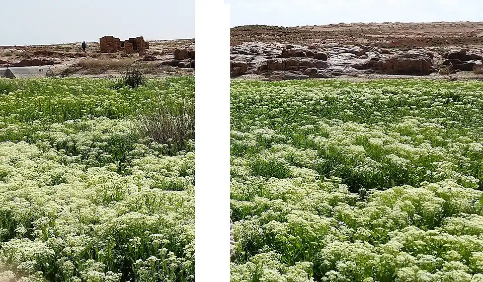 Zaida le petit barrage près de la source Aine rahma 2015