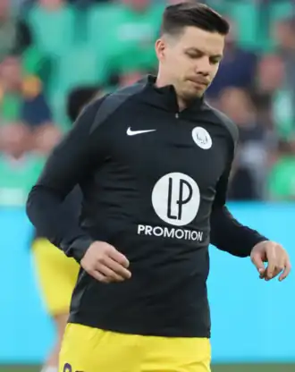 Image illustrative de l’article Miha Zajc