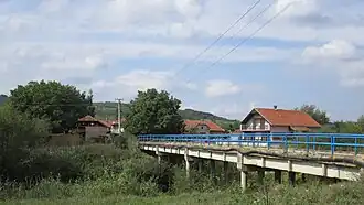Zalužnje