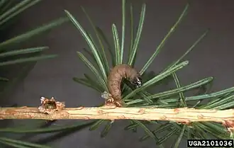 Description de cette image, également commentée ci-après