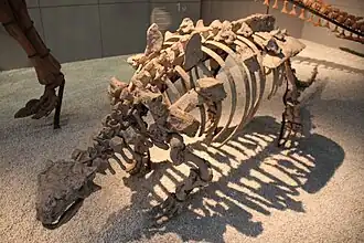 Description de cette image, également commentée ci-après