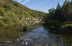 La rivière (Saale) depuis le pont