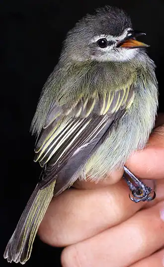 Description de cette image, également commentée ci-après