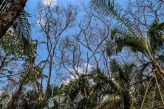 Zone dégradée en reconstitution.