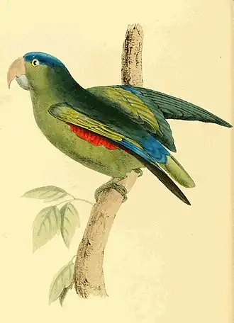 Description de cette image, également commentée ci-après