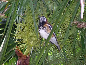 Description de cette image, également commentée ci-après