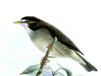 Description de cette image, également commentée ci-après