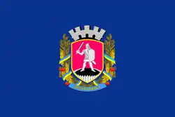 Drapeau de Zvenyhorodka