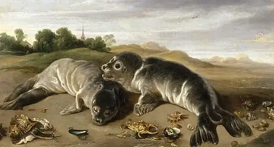 Paul de Vos, Deux Jeunes Phoques sur un rivage, vers 1650, huile sur toile, 80 × 146 cm.