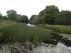 Bras désaffecté du canal à Zwevegem.