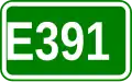 Route européenne 391
