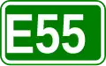 Route européenne 55