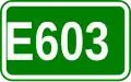 Route européenne 603