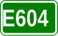 Route européenne 604