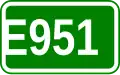 Route européenne 951