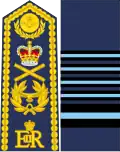 Image illustrative de l’article Marshal of the Royal Air Force