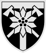 Image illustrative de l’article 128e brigade d'assaut de montagne