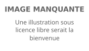 Description de l'image Defaut.svg.