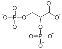 Image illustrative de l’article Acide 2,3-bisphosphoglycérique