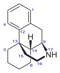 Image illustrative de l’article Morphinane