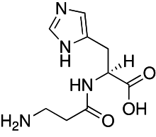 Image illustrative de l’article Carnosine