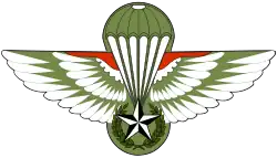 Image illustrative de l’article Forces spéciales algériennes