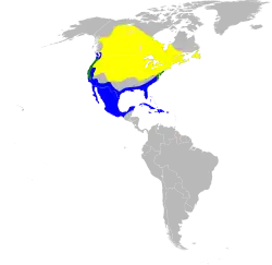 Description de l'image Botaurus lentiginosus map.svg.