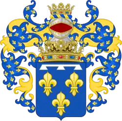 Image illustrative de l’article Maison d'Orléans-Galliera