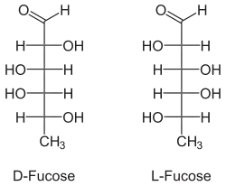 Image illustrative de l’article Fucose