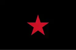 Image illustrative de l’article Armée zapatiste de libération nationale