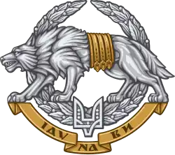 Image illustrative de l’article Forces d'opérations spéciales (Ukraine)