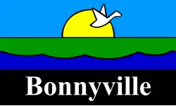 Drapeau de Bonnyville