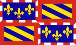 Description de l'image Flag of Bourgogne.svg.