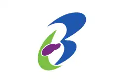 Drapeau de Bungotakada-shi